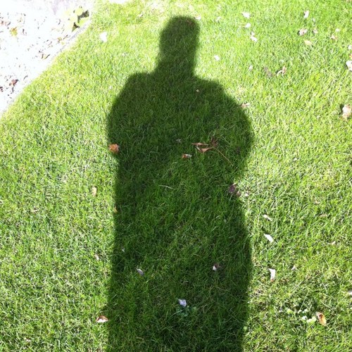 sabinestauffer's profile picture. 