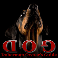 Doberman Owners Guide. A guide to buying, caring for and training a Doberman. Avatar cropped from a photo by Neil Smith.