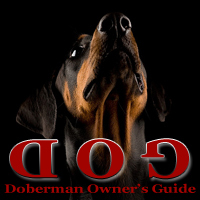 DobermanGuide's profile picture. Doberman Owners Guide. A guide to buying, caring for and training a Doberman. Avatar cropped from a photo by Neil Smith.