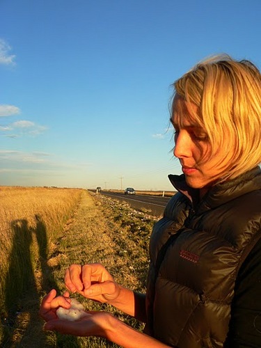 Molly_Young's profile picture. Ultimate Frisbee. Applied Linguistics. Life. Not always in that order.