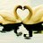 hbssy's profile image
