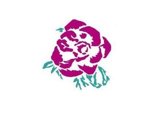 HIP_Aalsmeer's profile picture. Holland Indoor Plants has an extensive range of quality cut flowers and plants. Personal attention-Lasting relationships-Value for money-Dedication-Service