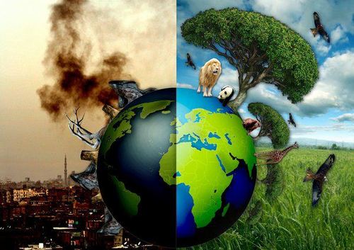 Ecocide is the destruction or damage of ecosystems, by humans or otherwise, so that peaceful enjoyment by the inhabitants is severely diminished