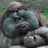 Hutch_1986's profile image