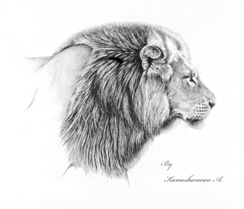 kameshwaran807's profile picture. Mistakes were made, stories were born.