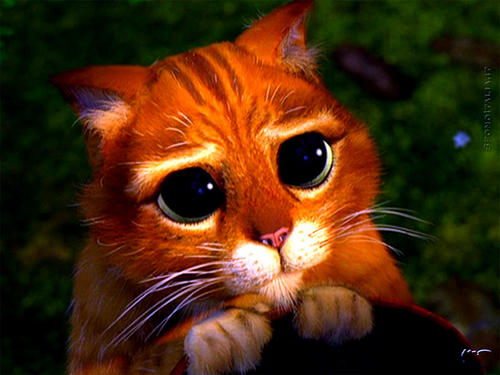 mandarallo's profile picture. Le più grandi dittature si perpetuano sempre in nome delle cause più nobili.
(Thomas Paine)