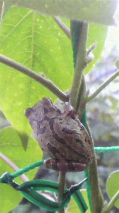 hy_sa_n's profile picture. 時々つぶやきます。 ボク悪い酒クズじゃないよ