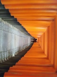 aipos1060's profile picture. この間まで模索→ついに実行に移しました。H24.4から始まっています！ まずやる！すぐやる！もうしてる！