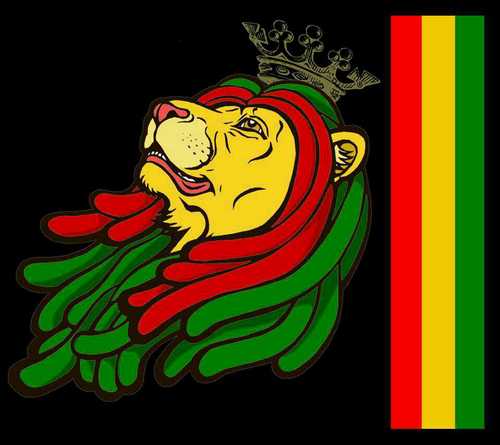 mojacou's profile picture. 