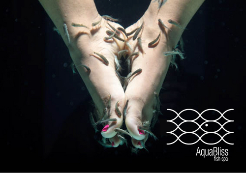 All you need is to love your feet...
at AquaBliss. The most popular fish spa in Barcelona. El fish spa mas popular de Barcelona...