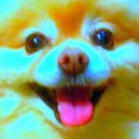 sweaty five dollars (@iscoff) 's Twitter Profile Photo sweaty five dollars (@iscoff) 's Twitter Profile Photo
