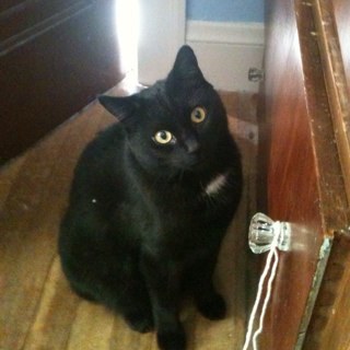 nancybelle62's profile picture. 