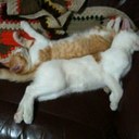 Judy Jeffreys - @Bluenun66 - Twitter