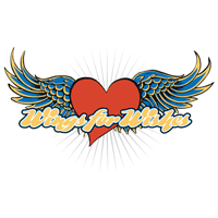 wings4wishes's profile picture. Attempting a world record flight around the UK in a single engine aircraft for Make A Wish Foundation & Rainbow Trust