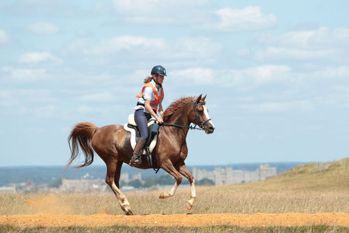 CaroLong23's profile picture. 