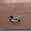 james gallant - @otown_foodie - Twitter