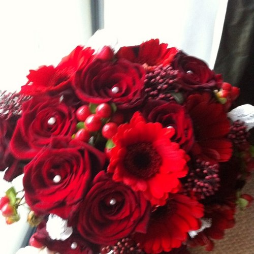 gillthebean's profile picture. 