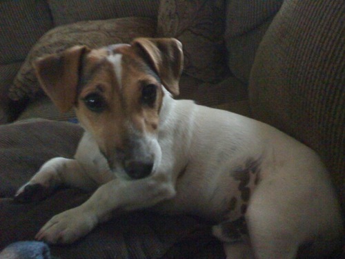 Martha_Twit's profile picture. I’m a million different people from one day to the next.