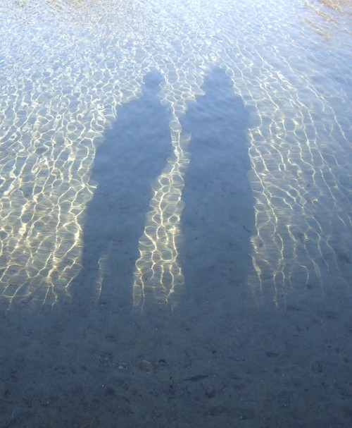 JLScholl's profile picture. 