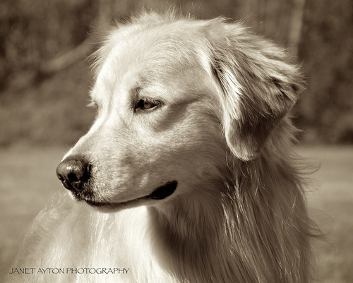 TheBrodyPulper's profile picture. 