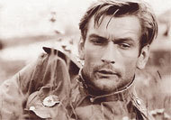 lfaro07's profile picture. 