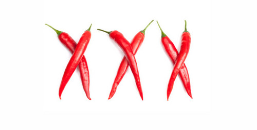 youjizzCOMPH's profile picture. Adult Network