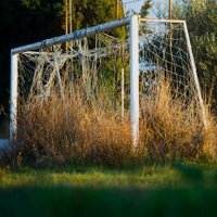 Pere Puntí (@perepunti) 's Twitter Profile