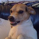 Jake Beck - @Maumee139 - Twitter