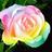 wolfRose1's profile image