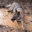 Reed Stanley - @ReedStanley - Twitter