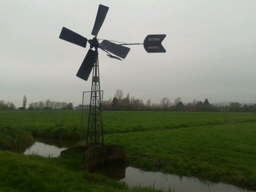 robertzwetsloo1's profile picture. 