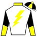 Team Stallion Racing (@team_stallion) Twitter profile photo