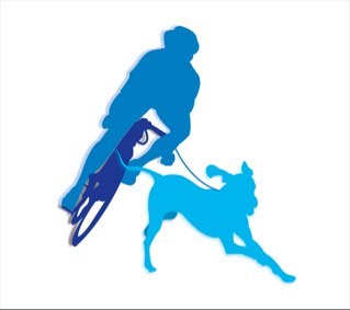 CanicrossActus's profile picture. 