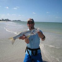 Don Taylor (@dtaylor60) 's Twitter Profile