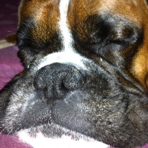 Matthewsmith314's profile picture. 