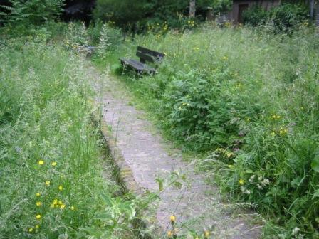 Ecologische tuin in Wittevrouwen Utrecht, sinds 1987 in zelfbeheer van bewoners