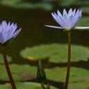 val morton - @valmorton - Twitter