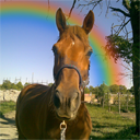 KarineLepik's profile picture. 