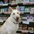 edno725's profile image