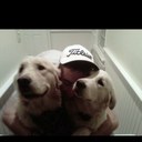 Matt Everson - @matteboyy - Twitter