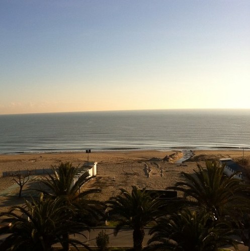 vdifilippo67's profile picture. 