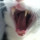 Julio Johnson - @JulioJohnson1 - Twitter