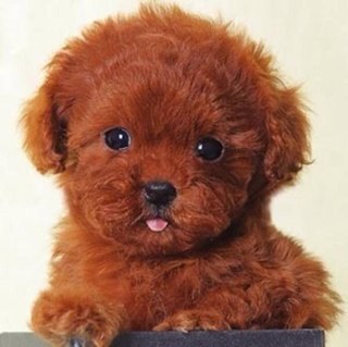 ArianneEmlab15's profile picture. 