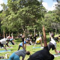 Runyon Canyon Yoga(@RunyonYoga) 's Twitter Profile Photo