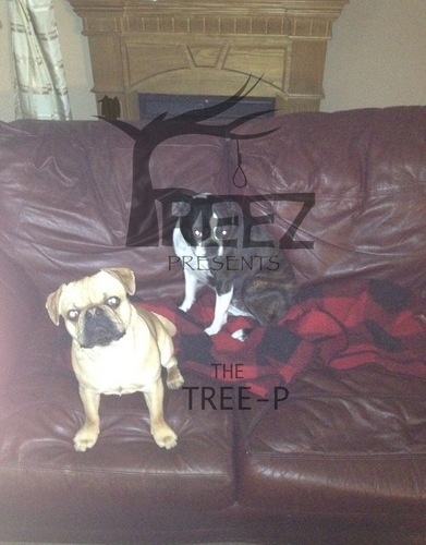 TheDopePig's profile picture. Musician and engineer Music/work/eat/sleep/repeat/