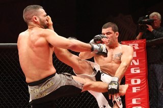 thestorynj's profile picture. 