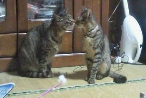 manmo1970's profile picture. 