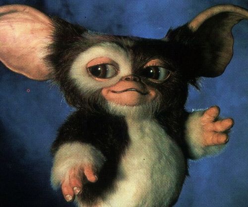 arq_ing's profile picture. 