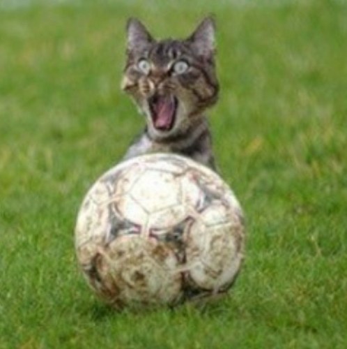 im the doctor of above average tweets that you willl love. they are funny and i follow back