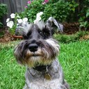 Ian Place - @ian_place - Twitter